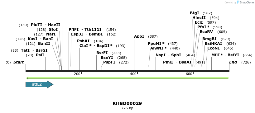 41662_map