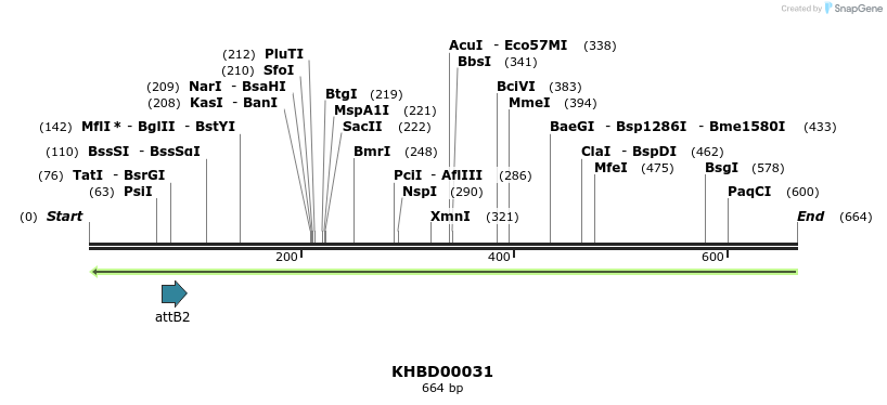 41664_map