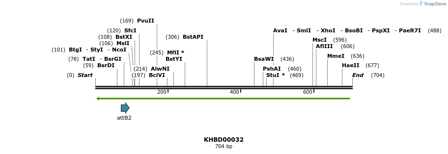 41665_map