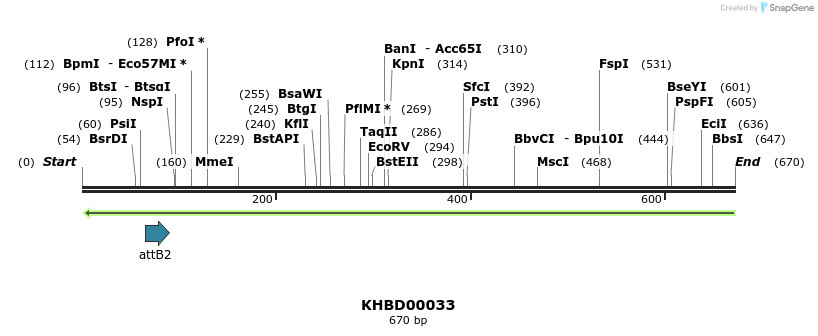 41666_map