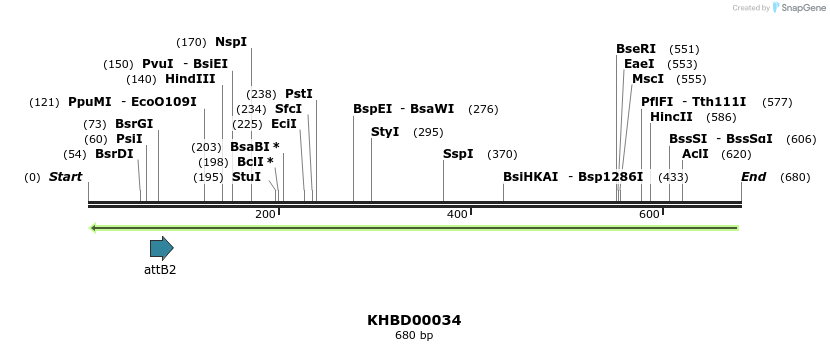 41667_map