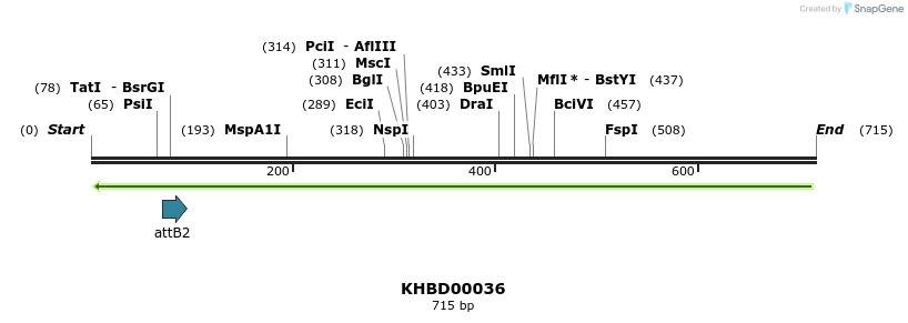 41668_map