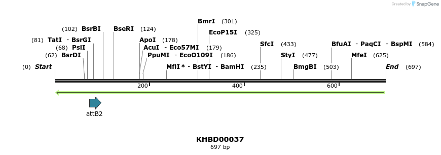 41669_map
