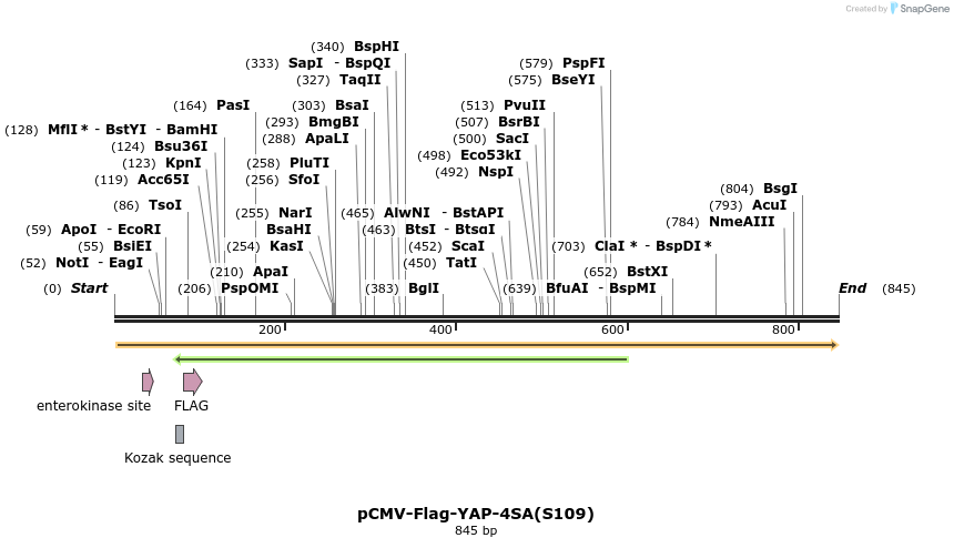 41675_map