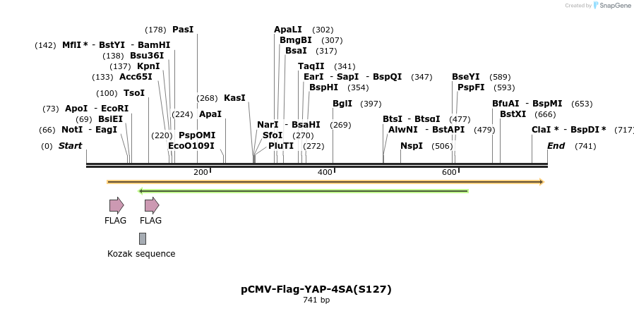 41677_map