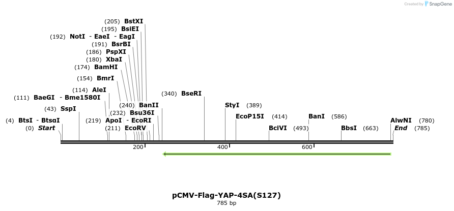 41678_map