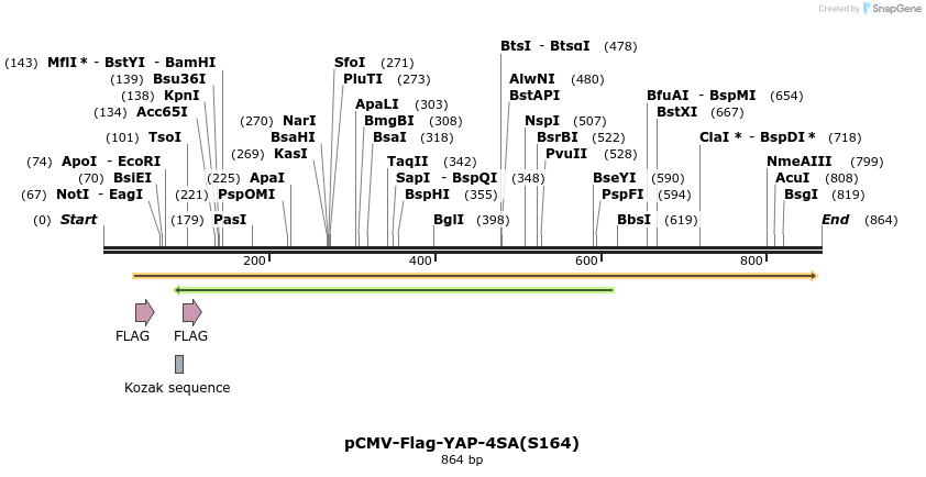 41679_map