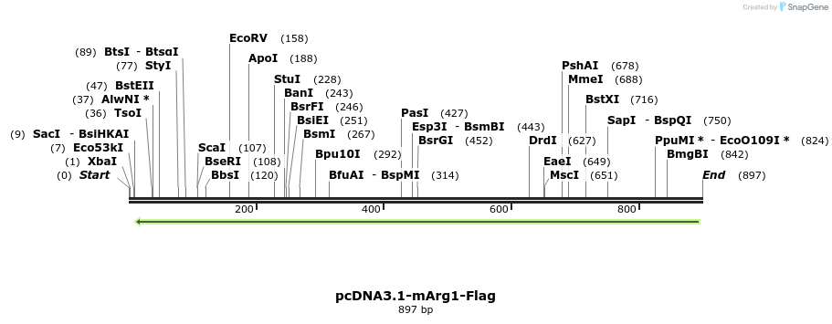 41685_map
