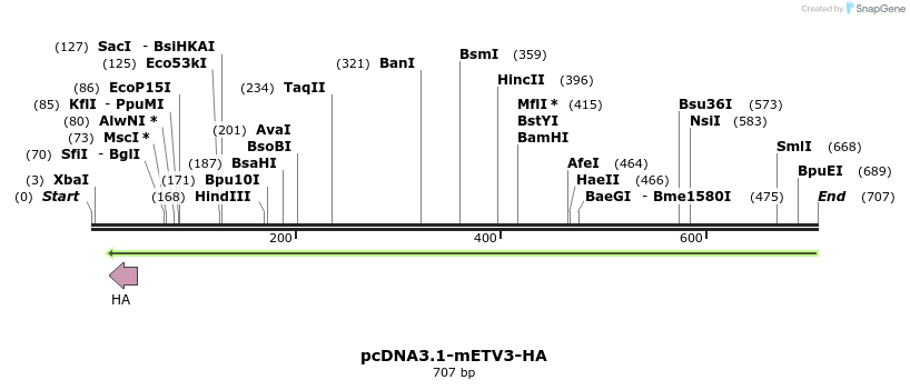 41688_map