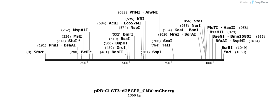 416880_map