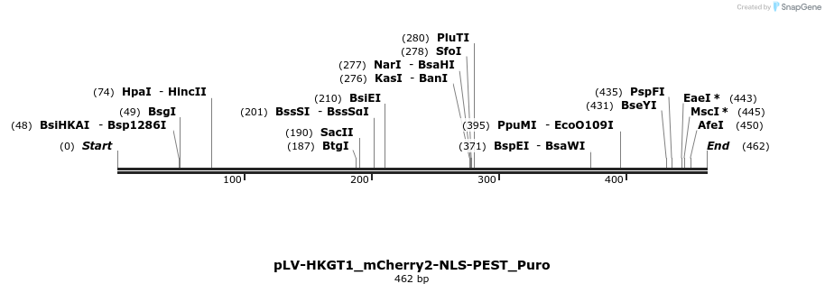 416882_map