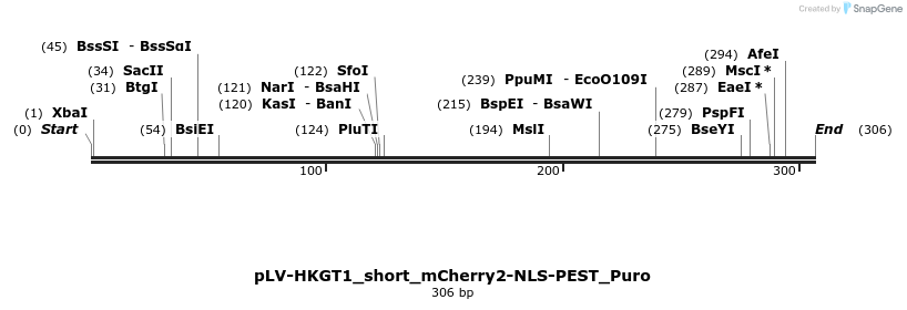 416884_map