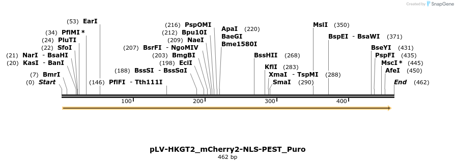 416886_map