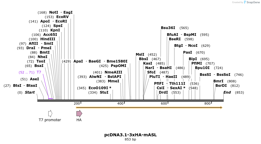 41689_map