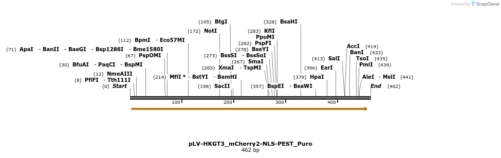 416890_map
