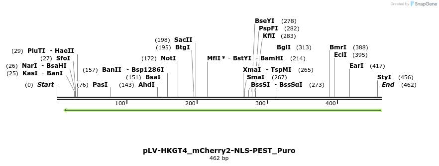 416894_map