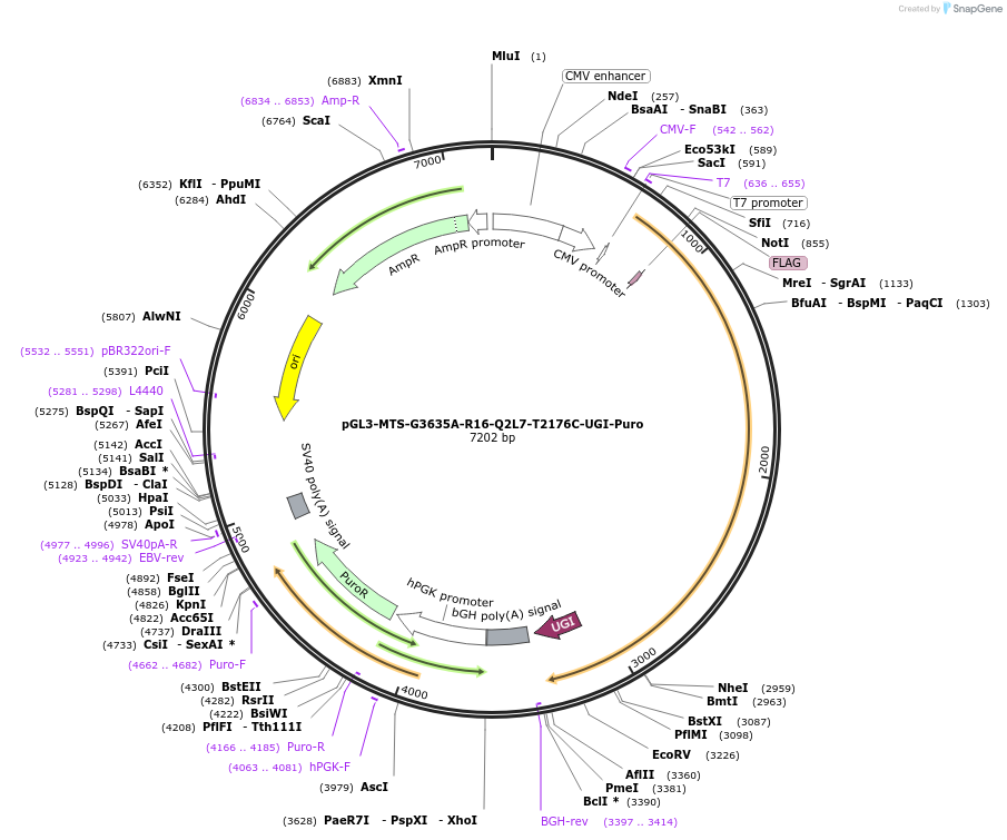 416900_map