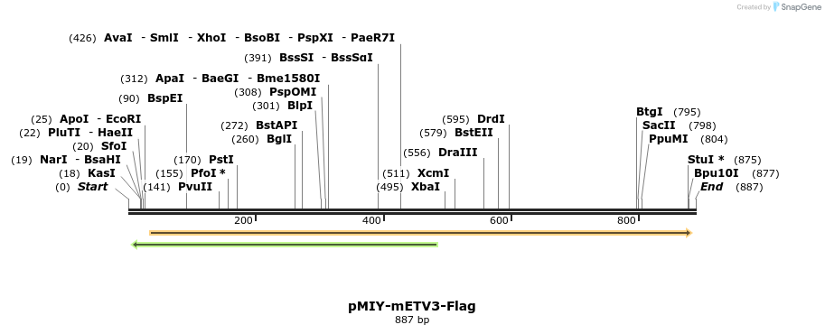 41692_map