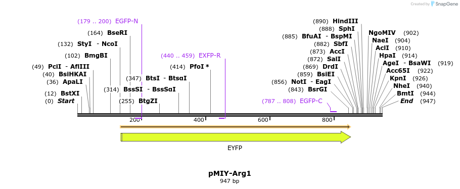 41694_map