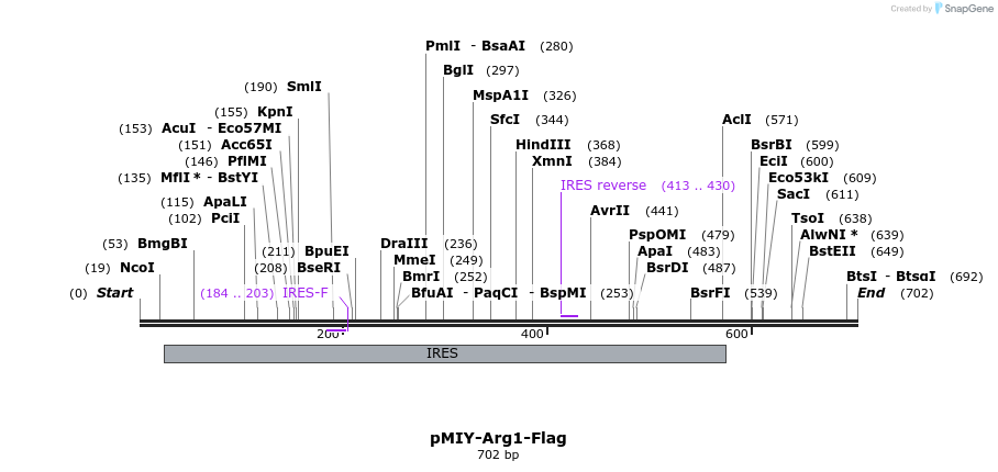 41695_map