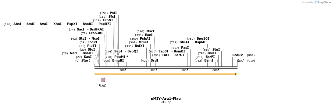 41696_map