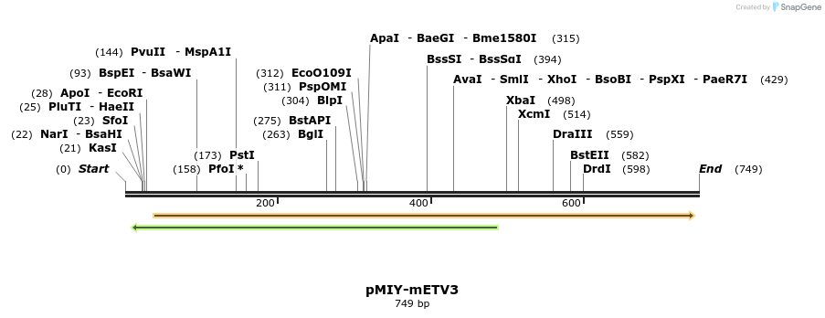 41697_map
