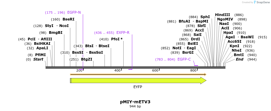 41698_map