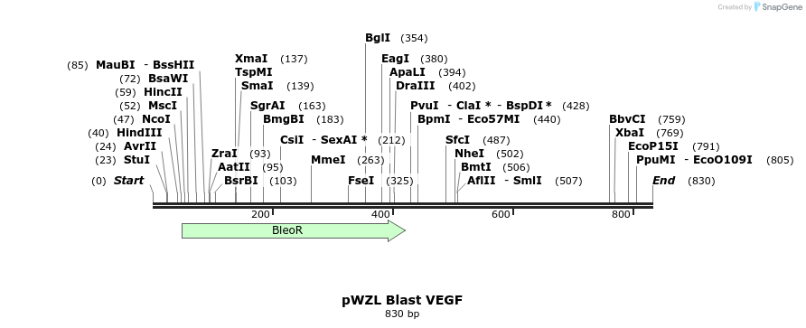 41701_map
