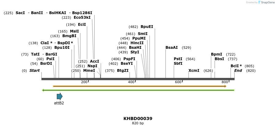 41709_map