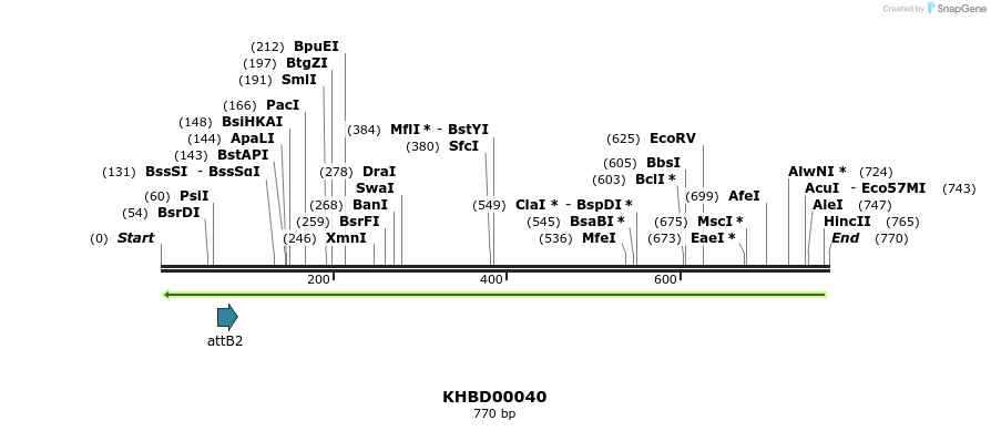 41710_map