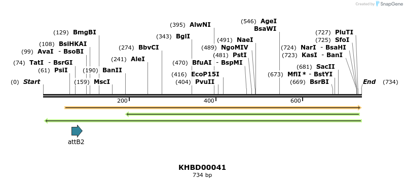 41711_map