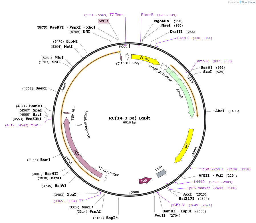 417116_map
