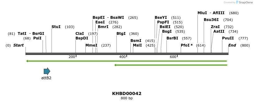 41712_map