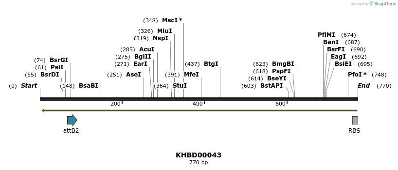 41713_map