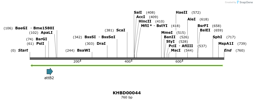 41714_map