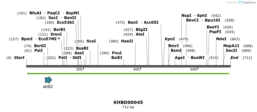 41715_map