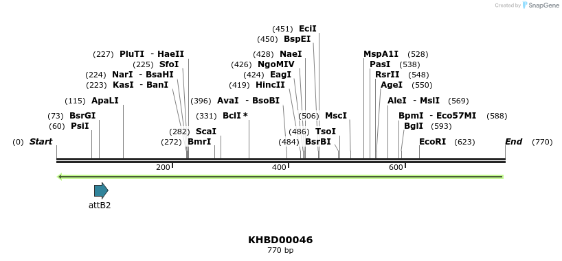 41716_map