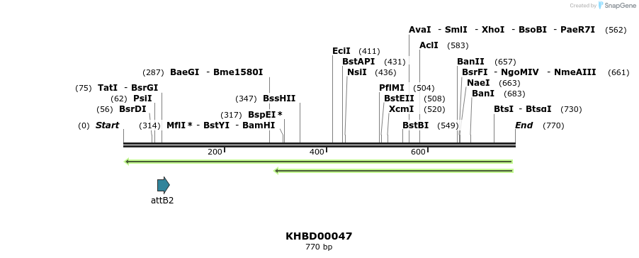 41717_map