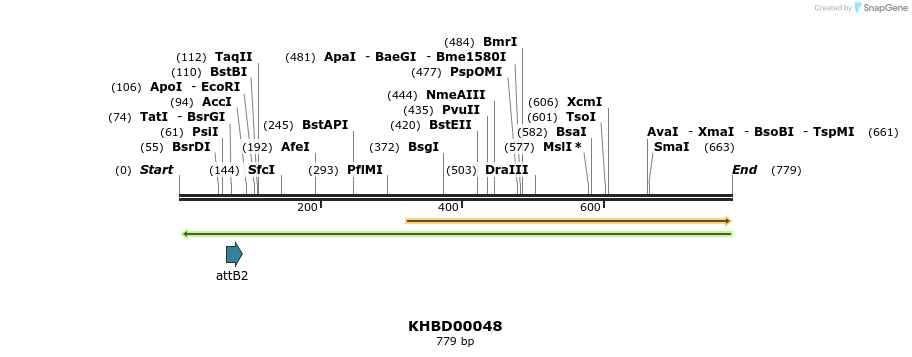 41718_map