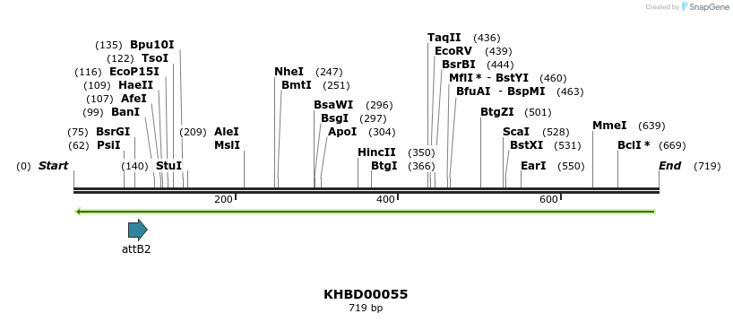41726_map