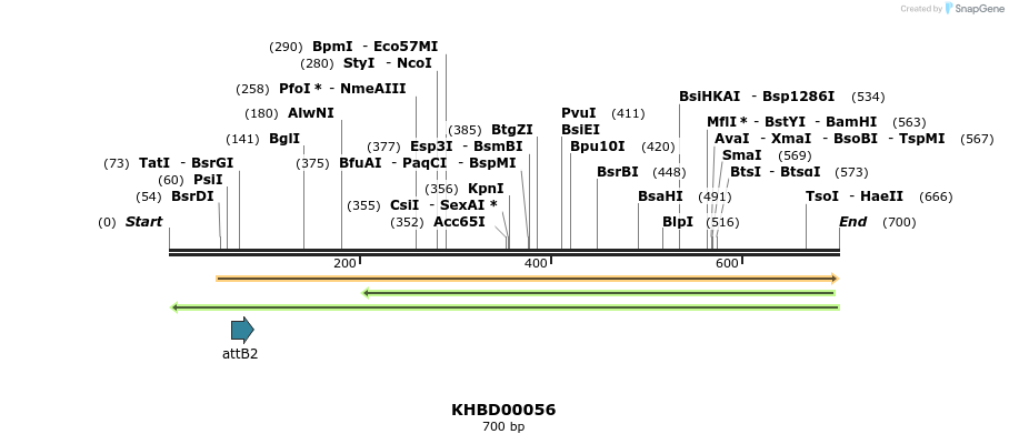 41727_map