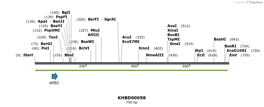 41728_map
