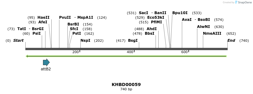 41729_map