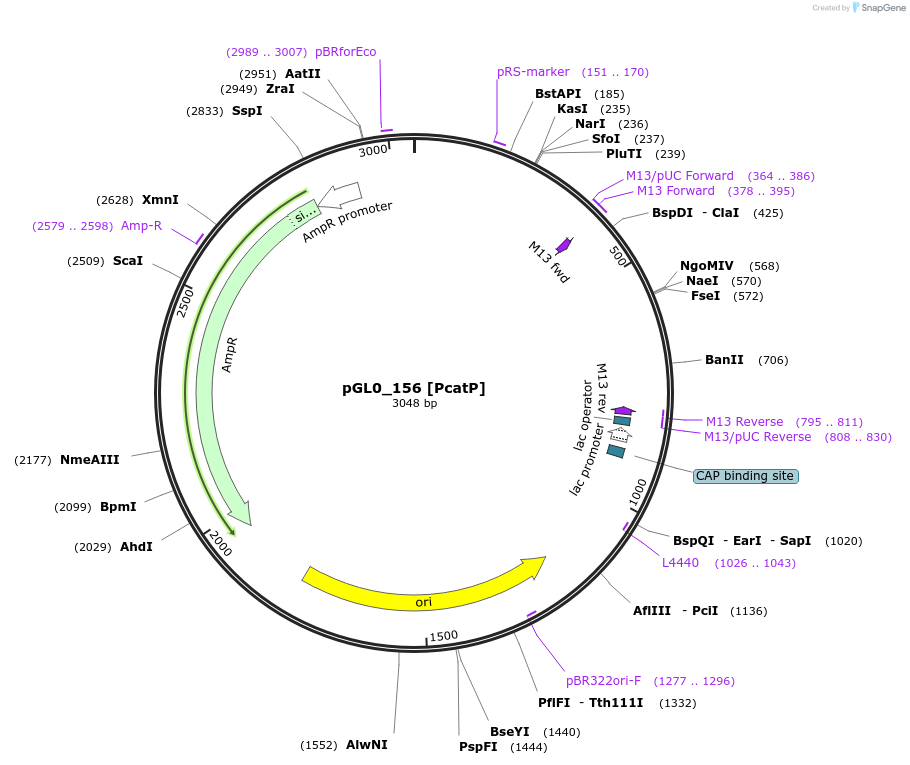 417303_map