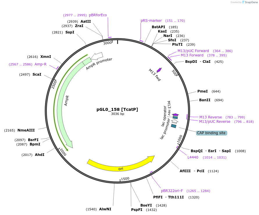 417305_map