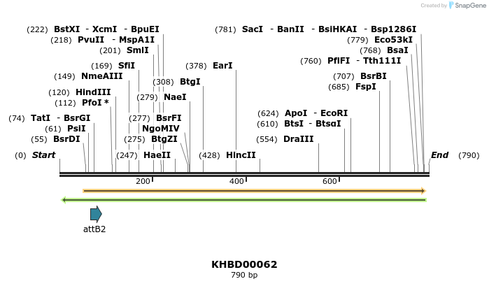 41732_map