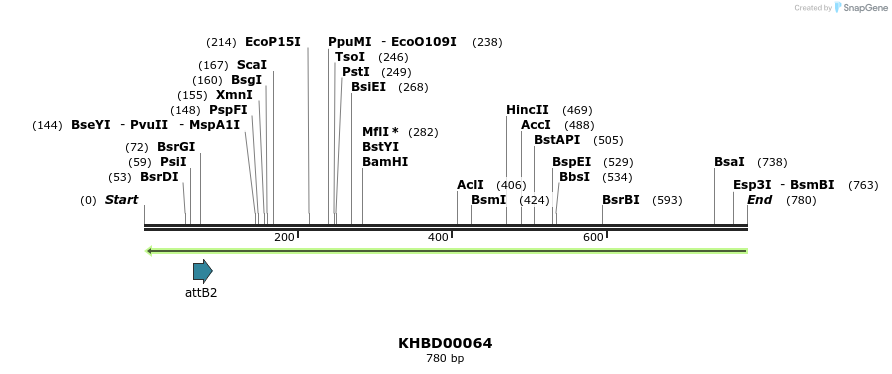 41733_map
