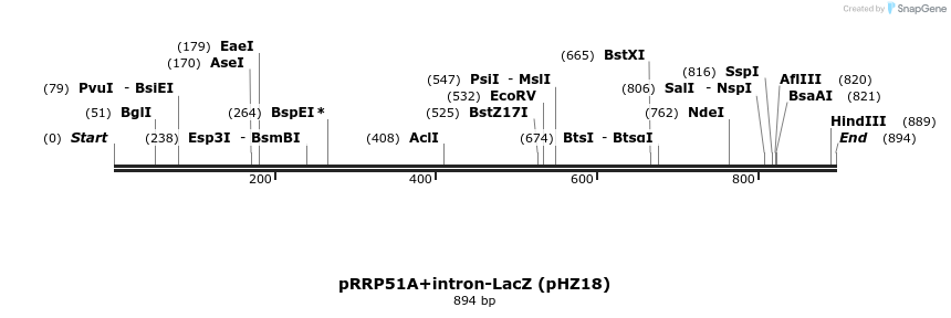 41738_map