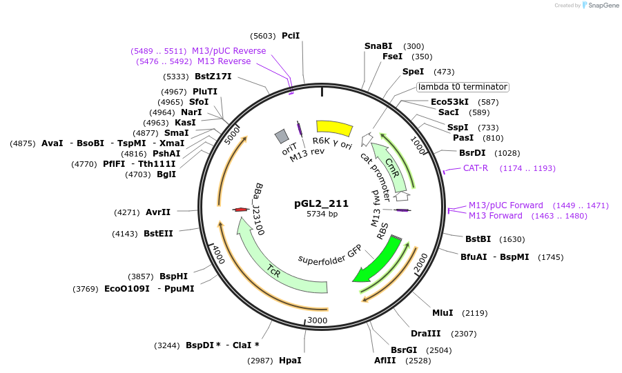 417388_map