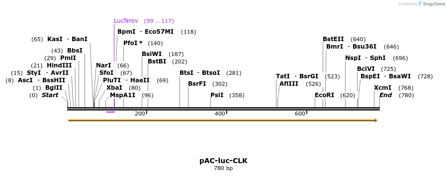 41739_map